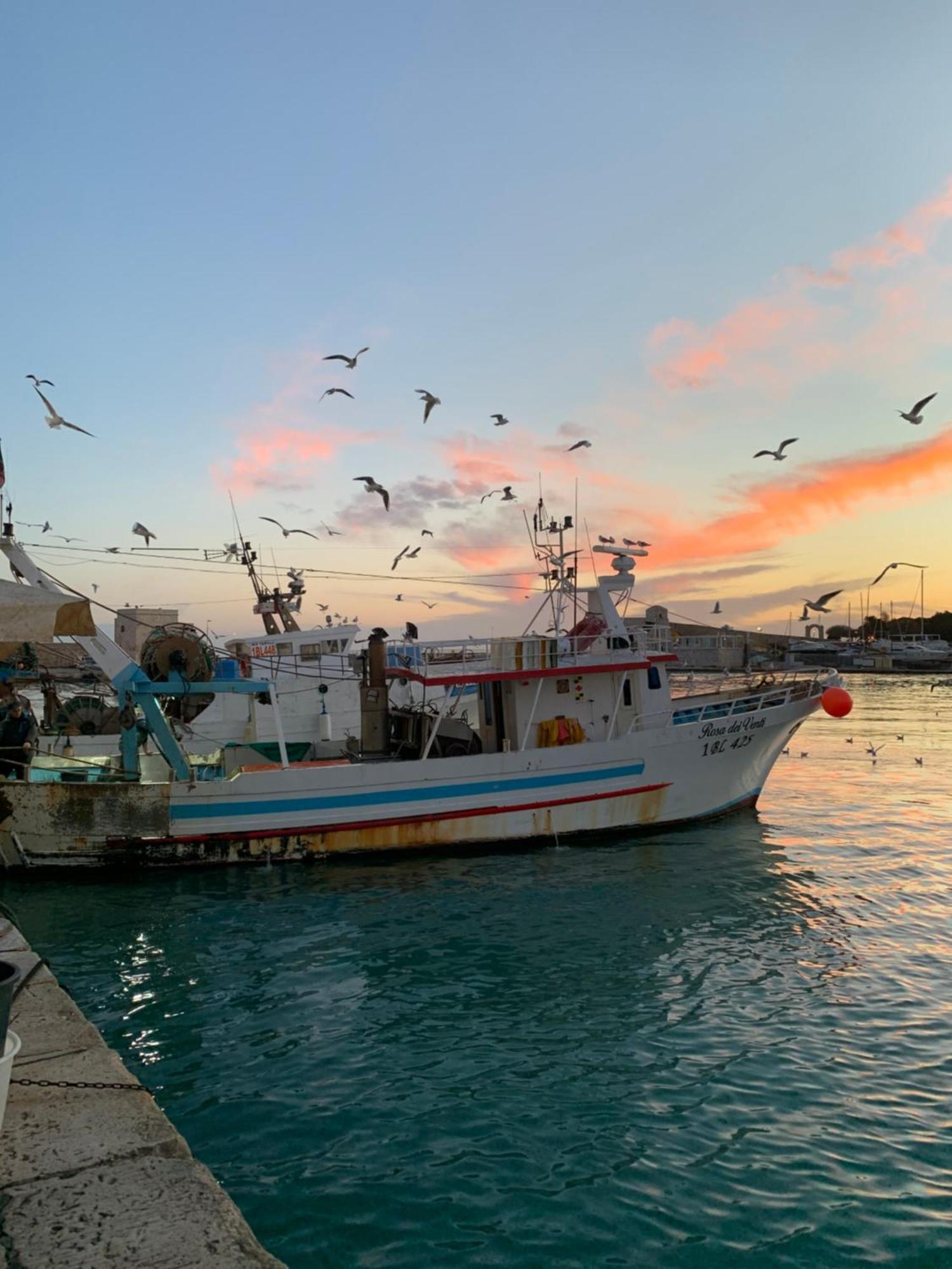 Vischi Apartment Trani By Le Marinelle Loc Turistica Εξωτερικό φωτογραφία